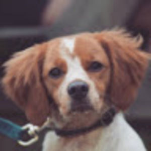 Meet your Posher, Mayeka1